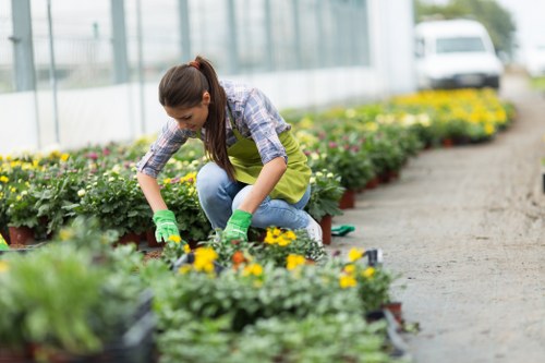 Illustration representing accessible Landscaping Thorntonheath web content