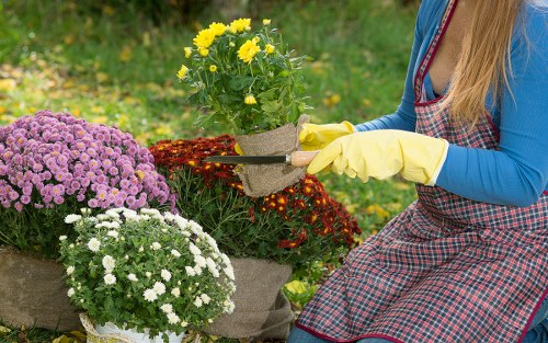 Risk assessment planning before outdoor landscaping work