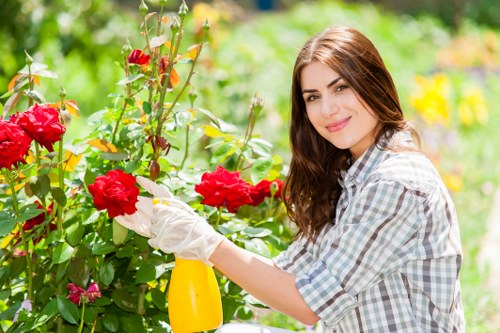 Safe and professional Thorntonheath landscaping service