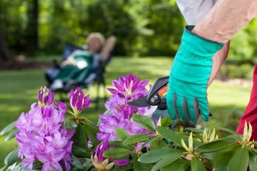 Low-maintenance garden landscaping features suited to a Thornton Heath home