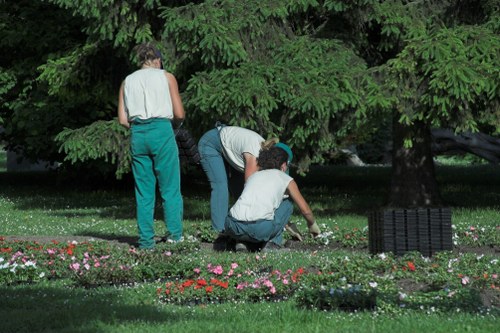 Inclusive web design concept for Thornton Heath landscaping accessibility
