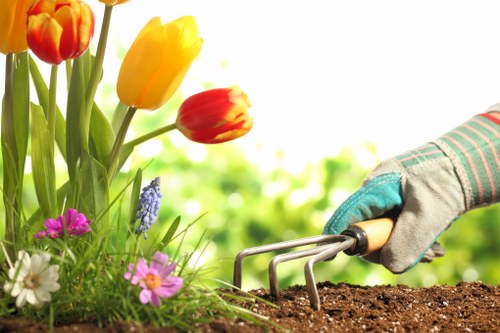 Accessibility contact and support for Landscaping Thorntonheath website users