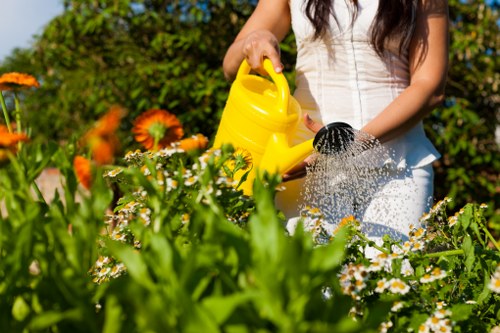 A local garden makeover project showing cleared space and new landscaping