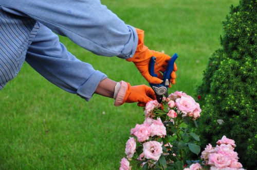 Final policy review for safe landscaping operations