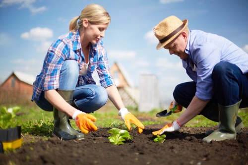 Professional discussing a landscaping resolution plan