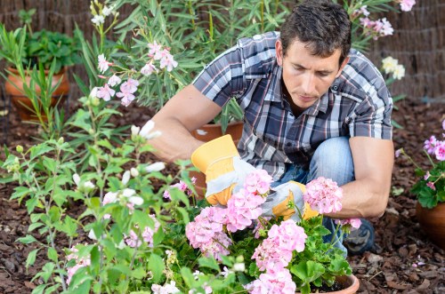 Landscape project quotation and site assessment paperwork