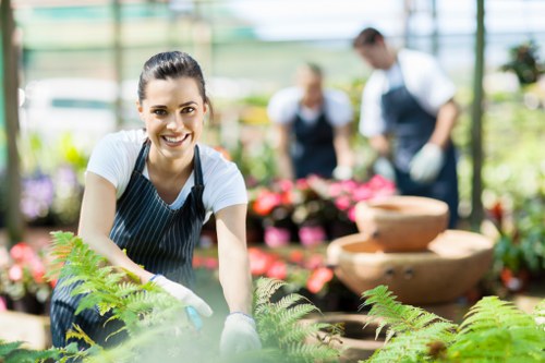 Free quote assessment for a local landscaping project
